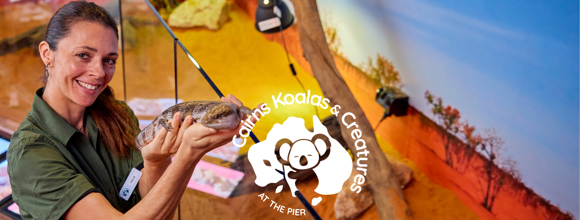Cairns Koalas & Creatures